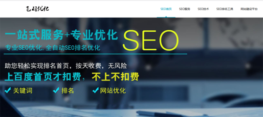 飛羽SEO 專業(yè)的計算機軟件咨詢服務(wù)